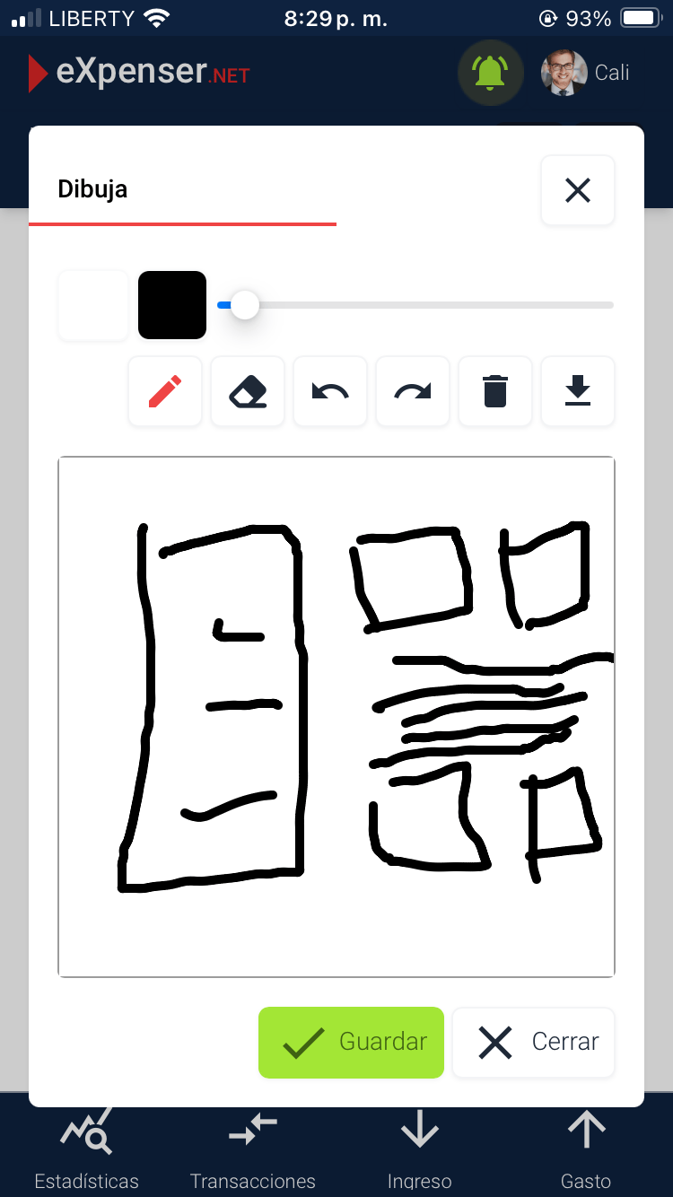 eXpenser.net